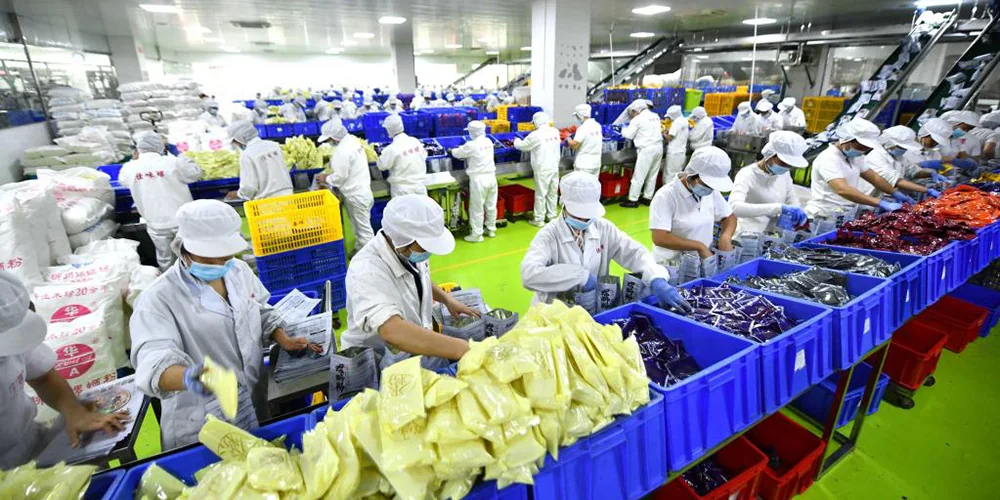 顺德家电工厂转型亚马逊 B2C：自建团队与代运营决策